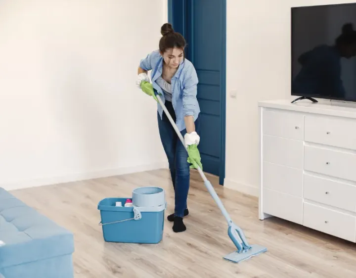 Femme de ménage Boeil-Bezing